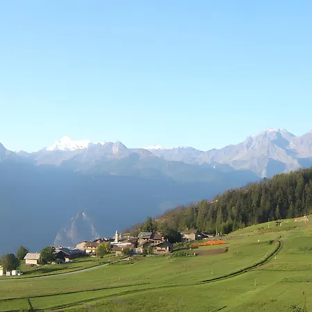 Le Nid Des Rouges Gorges * Verrayes
