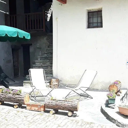 Le Nid Des Rouges Gorges Verrayes