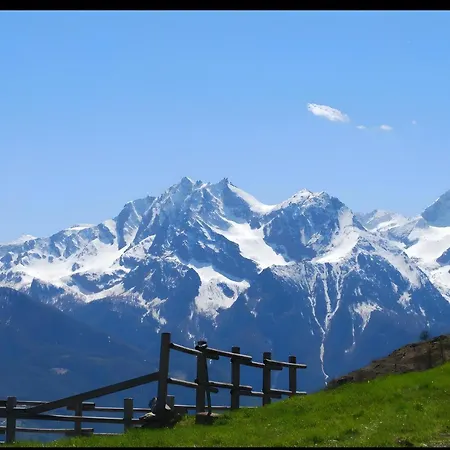 Le Nid Des Rouges Gorges *