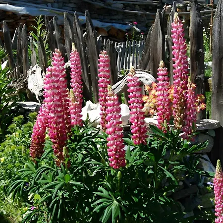 Le Nid Des Rouges Gorges Appartement *
