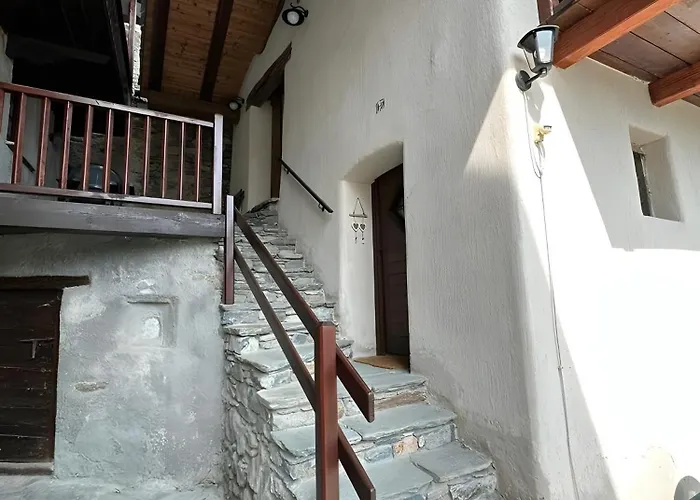 Le Nid Des Rouges Gorges *