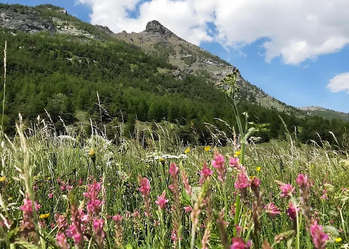Lejlighed Le Nid Des Rouges Gorges *