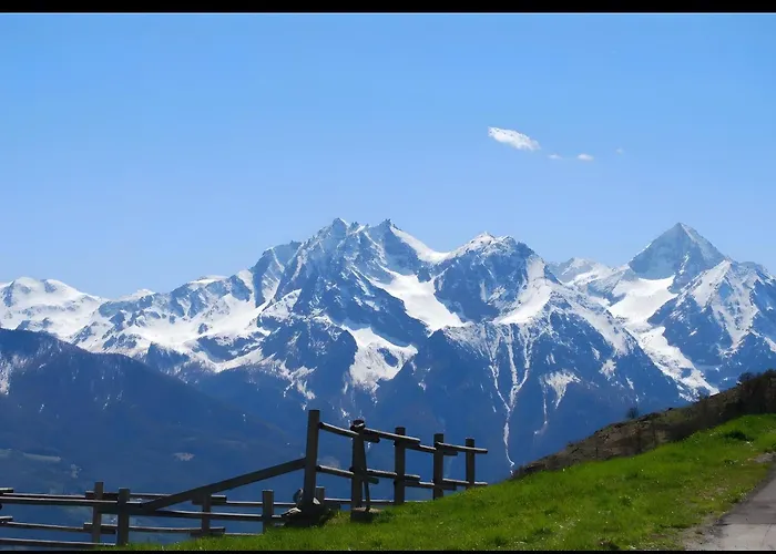 Le Nid Des Rouges Gorges *