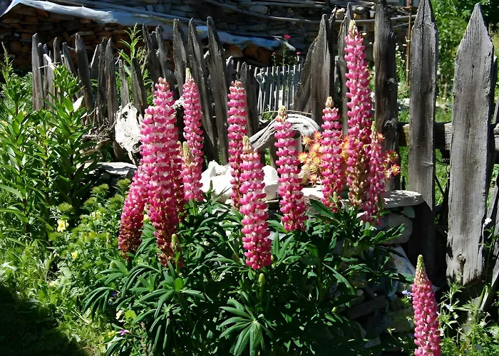 Le Nid Des Rouges Gorges Lejlighed *